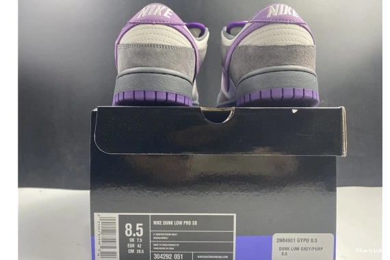 Pigeon Dunk Nike 304292-051 Low Purple SB 0921